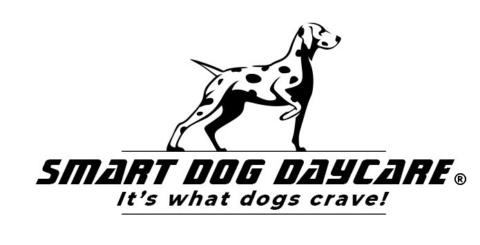 Smart Dog Daycare & Boarding Everett